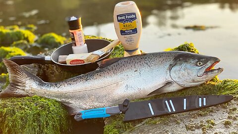 Catch n' Cook Pesto MAYO SALMON! (Bobber FISHING For KINGS)