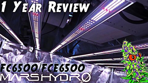 Growing Under The Mars Hydro FC-6500 & FC-E6500 After 1 Year | My Thoughts And Review