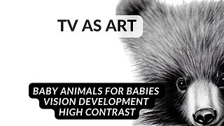 Art for Babies | 10 mins High Contrast Video for Babies | Help Develop Visual Skills | BABY ANIMALS