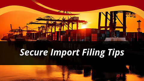 Importers' Measures in Security Filings