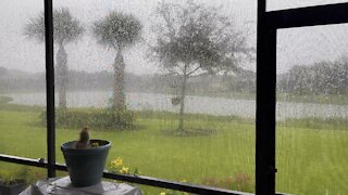 Storms in Paradise Part 3- 10/6/3021- #4K #fyp #asmr