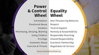 What is the Equality Wheel | Taking Action Against Domestic Violence