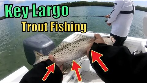 Trout in Key Largo?! Fishing for Trout Catch and Cook