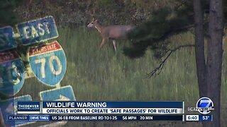 Advocates push for safe wildlife crossings on I-70