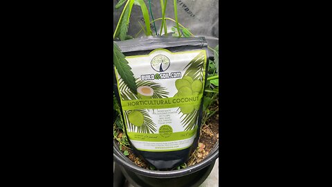 BuildASoil: Coconut Powder Product Review