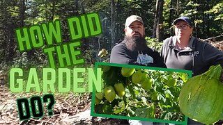 Garden Chat & Potato Harvest | Off Grid Homestead