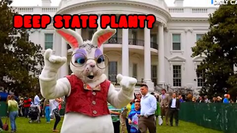Is The Easter Bunny A Deep State Plant?