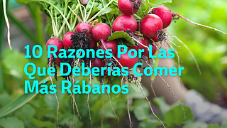 10 Razones Por Las Que Deberías Comer Más Rábanos