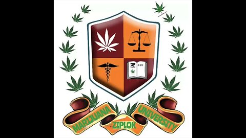 Ziplok - Smokin Weed Outside - Marijuana University