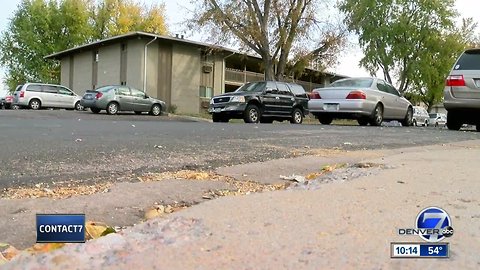 Contact7 gets results to water, sewage problem for Wheat Ridge renter