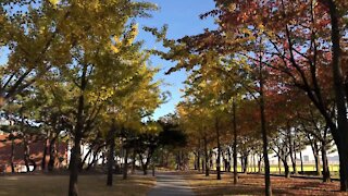 선유도 공원의 가을저녁, Autumn evening of Seonyudo Park, Seoul