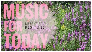 Piano Sonata no. 10 in C major, K. 330 |Mozart Effect, Concentration & Brain Power Music| Relaxation