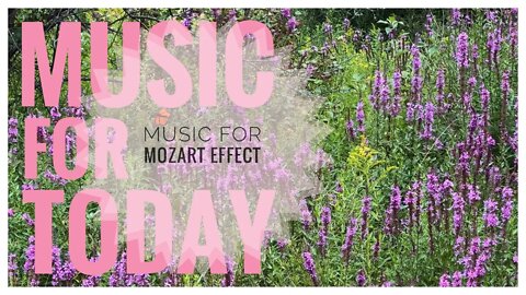 Piano Sonata no. 10 in C major, K. 330 |Mozart Effect, Concentration & Brain Power Music| Relaxation