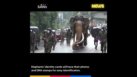 Elephants will get identity cards #shorts