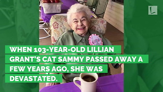 103-Year-Old Woman in Tears After Shelter Surprises Her With Cat for Birthday