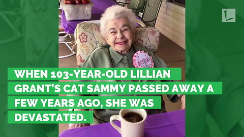 103-Year-Old Woman in Tears After Shelter Surprises Her With Cat for Birthday