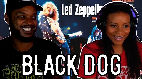LED ZEPPELIN 🎵 Black Dog Reaction