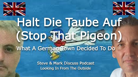 Halt Die Taube Auf (Stop That Pigeon) - What A German Town Decides To Do.