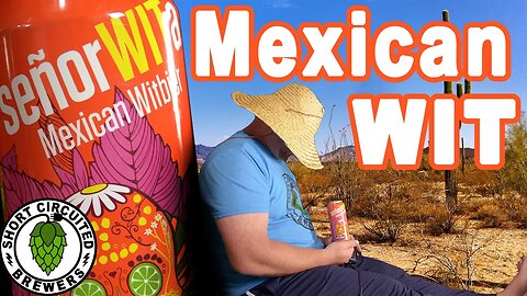 SenorWITa - Mexican Witbier - Warped Wing Brewing Company Friday Night Craft Beer Review