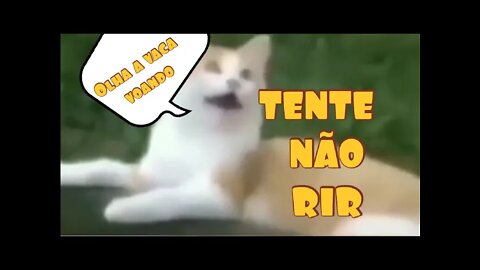 TENTE NÃO RIR