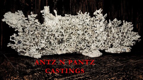 Do Ants Build Neighborhoods? / Texas Fire Ant Casting / Aluminum Ant Mound Sculpture