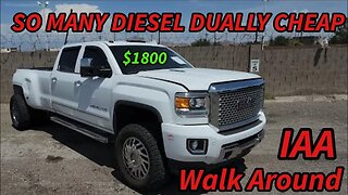 So Many Diesel Duallys At Auction, IAA Walk Around