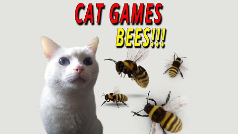 CAT GAMES: BEES!