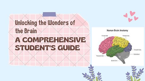 Unlocking the Wonders of the Brain: A Comprehensive Student's Guide