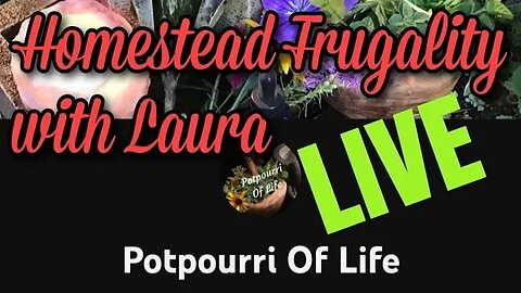 Live with Laura from Potpourri of Life