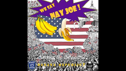 Nay Joe - America the Beautiful Banana Republic