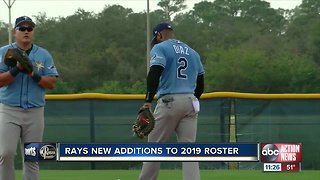 Rays new additions to 2019 roster