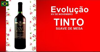 Vinho Evolução XV De Novembro Tinto Suave De Mesa