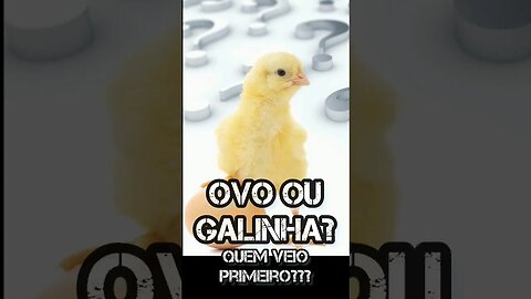 | DEUS CRIOU A GALINHA PRIMEIRO??? |