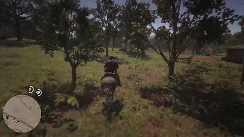 Red Dead Redemption 2 /Chapter 4