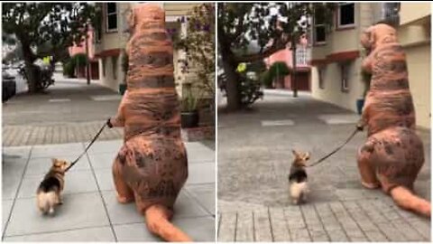 Un T-Rex promène un chien dans les rues de San Francisco