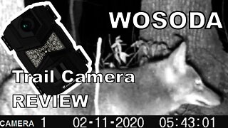 WOSODA 16MP 1080P Trail Camera Review video and still examples