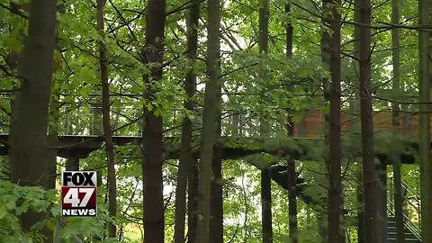 Longest canopy walk in the country opens this weekend in Michigan