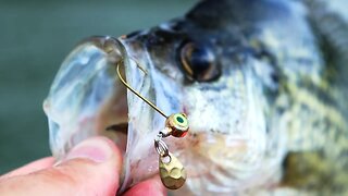 Catch suspended crappie using under-spin jigs (30 day challenge ep.5)