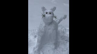 Dog destroys snow-cat with extreme prejudice