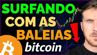 SURFANDO O BITCOIN JUNTO COM AS BALEIAS! [Pega essa onda comigo!]