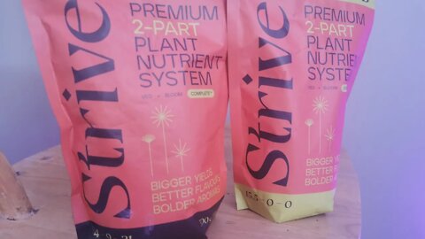 Strive Nutrients Review Part 3