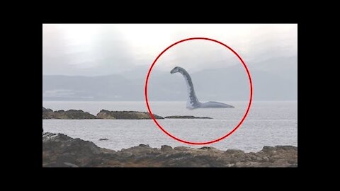 5 UNBELIEVABLE SEA SERPENT CAUGHT ON CAMERA