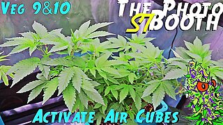 The Photo Booth S7 Ep. 6 | Veg Weeks 9 & 10 | Activate AirCubes | AirCube System Grow