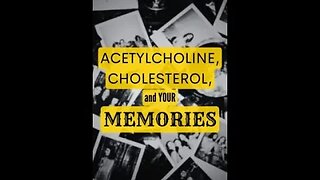 Acetylcholine, Cholesterol, and Memories