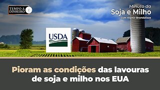 Pioram as condições das lavouras de soja e milho nos EUA. Relatório do USDA mostra queda.