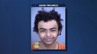 19-year-old suspect facing multiple charges, held on $1 million bond in West Valley shooting spree