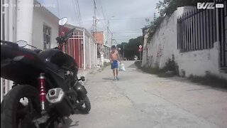 Ce petit garçon danse au rythme d'une alarme de moto