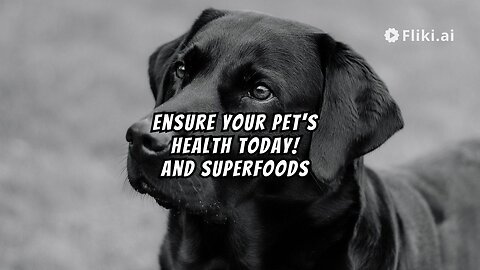 Ditch Big Corporations: Superfood for Pets! | Doge|cat
