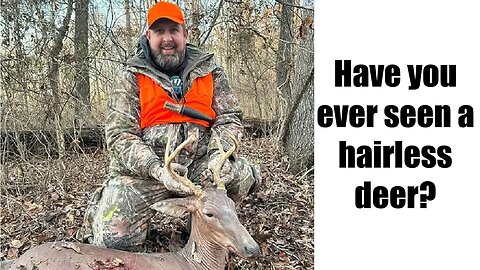 What the Heck! Hunter Kills a HAIRLESS Deer.