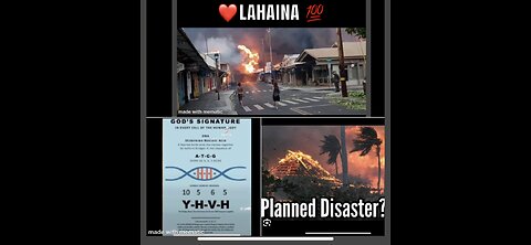 Lahaina tragedy ,new lockdowns ,UN legalising pedophilia and vaccine info .